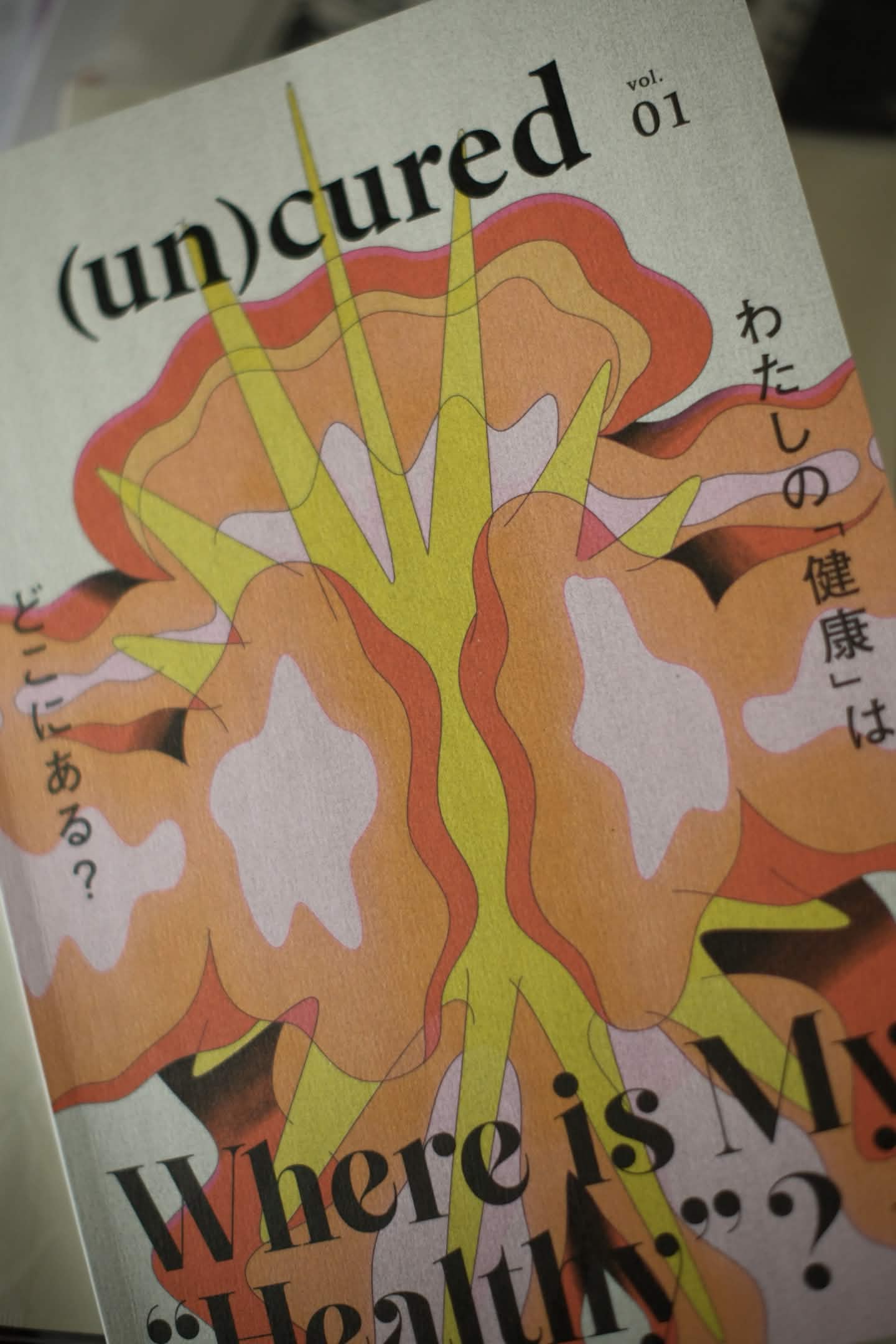 気になっていた雑誌を買ったよ